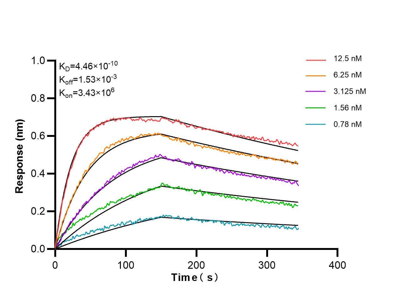 Affinity and Kinetic Characterization of 86916-1-RR