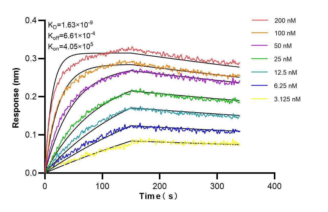 Affinity and Kinetic Characterization of 86935-1-RR