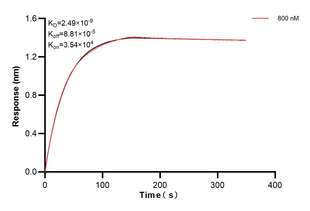 Biolayer interferometry (BLl) kinetic assay of 86938-3-PBS against Human COX5A were performed. The affinity constant is 2.49 nM. Affinity of 86938-3-PBS