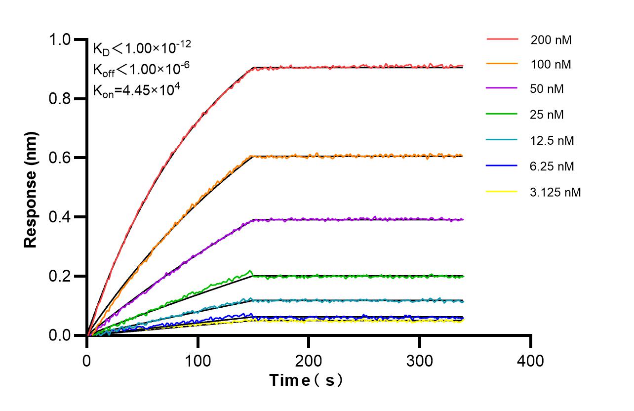Affinity and Kinetic Characterization of 86948-1-RR Affinity and Kinetic Characterization of 86948-1-RR
