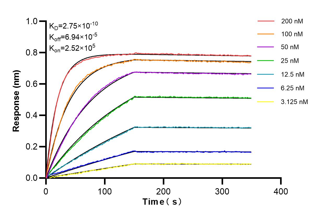 Affinity of 86963-1-RR