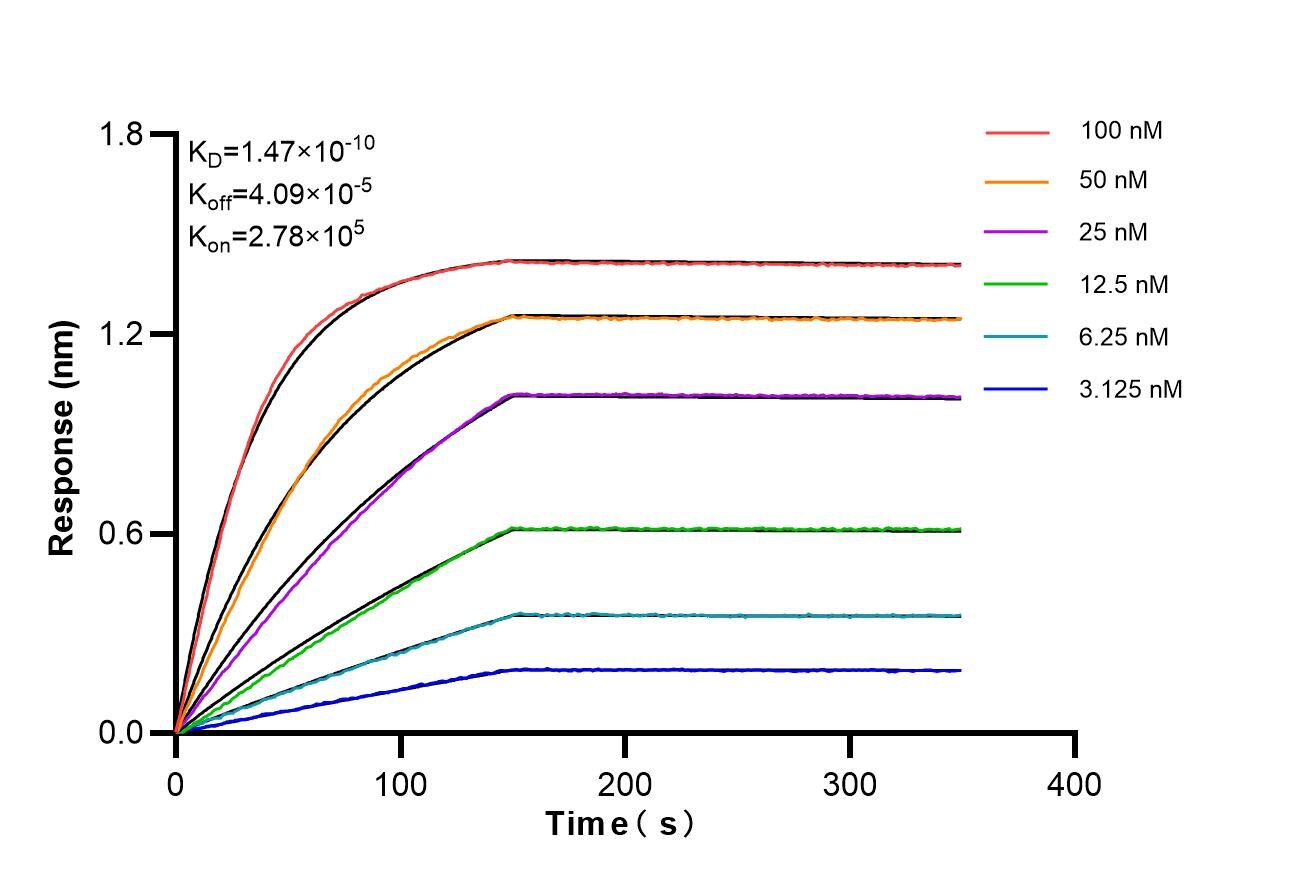 Affinity and Kinetic Characterization of 86971-2-RR Affinity and Kinetic Characterization of 86971-2-RR