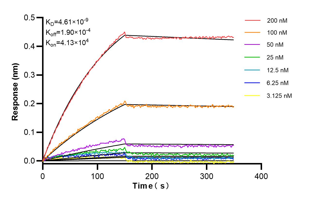 Biolayer interferometry (BLl) kinetic assays of 86974-2-RR against Human HP1BP3 were performed. The affinity constant is 4.61 nM. Affinity and Kinetic Characterization of 86974-2-RR