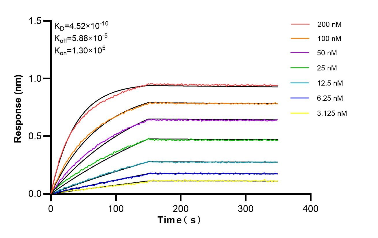 Affinity and Kinetic Characterization of 86980-1-RR Affinity and Kinetic Characterization of 86980-1-RR