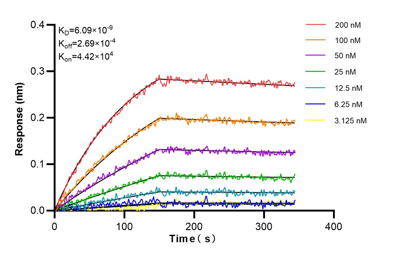 Affinity and Kinetic Characterization of 87004-3-RR