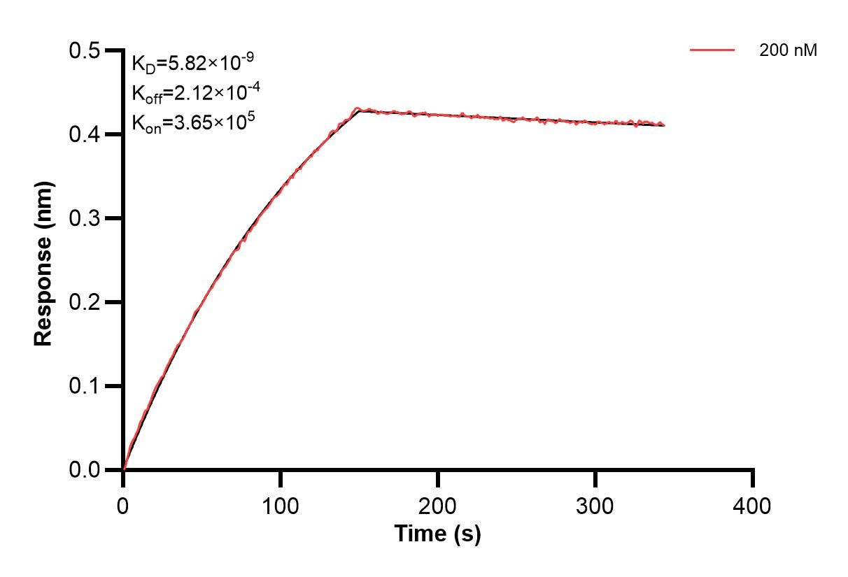 Affinity of 87008-2-PBS Affinity of 87008-2-PBS
