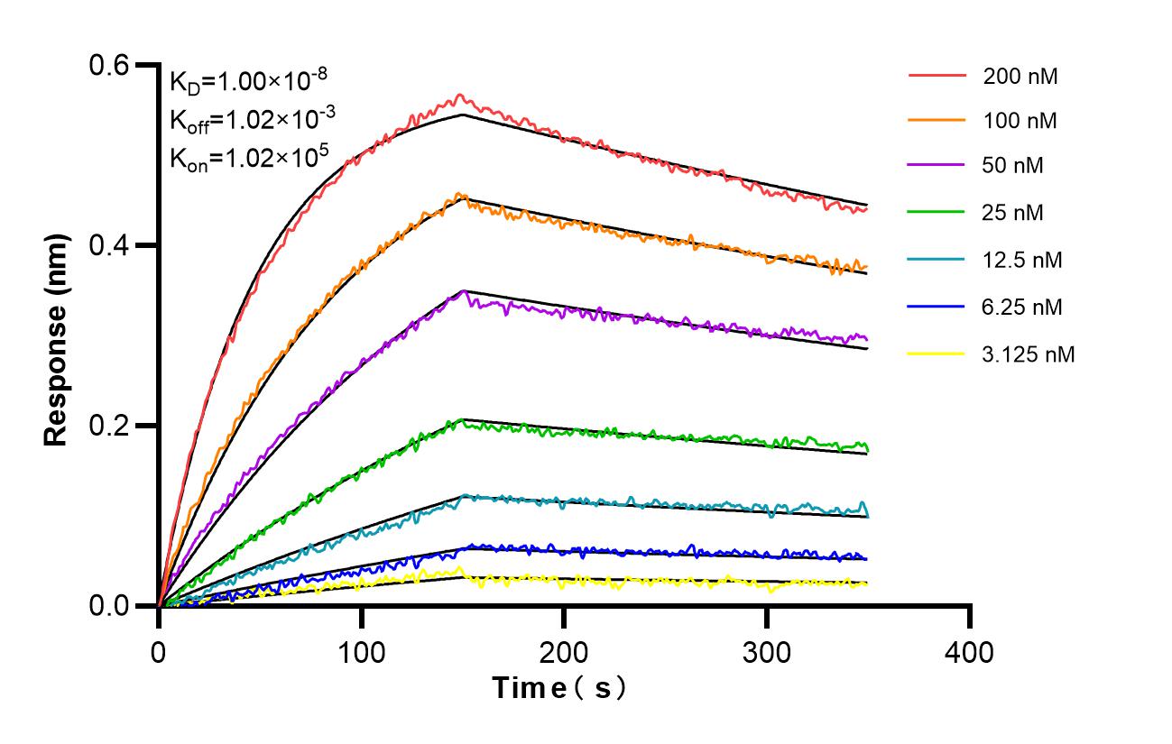 Affinity and Kinetic Characterization of 87009-2-RR