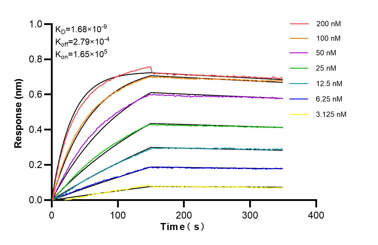 Affinity of 87017-1-RR