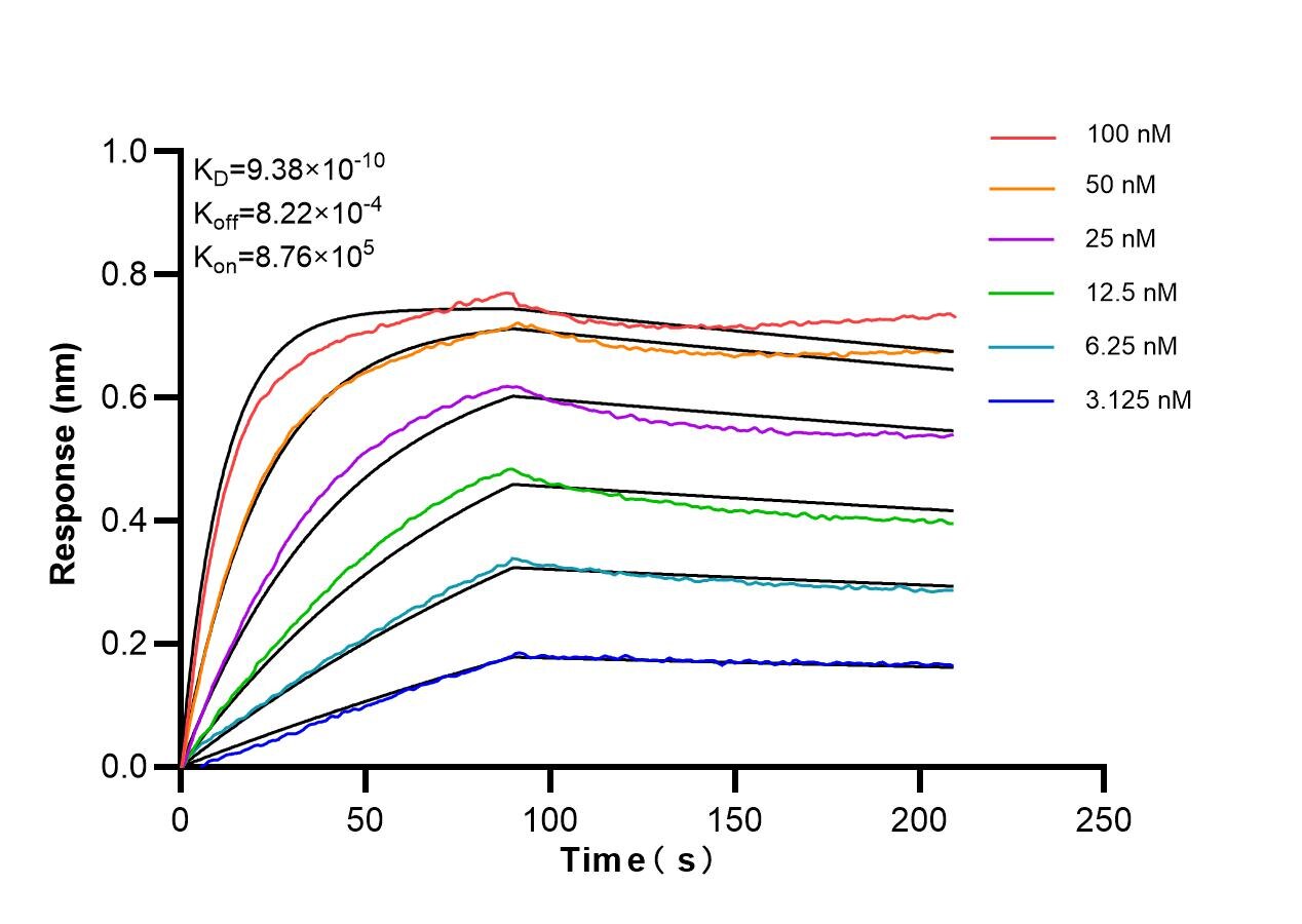 Affinity of 87030-3-RR