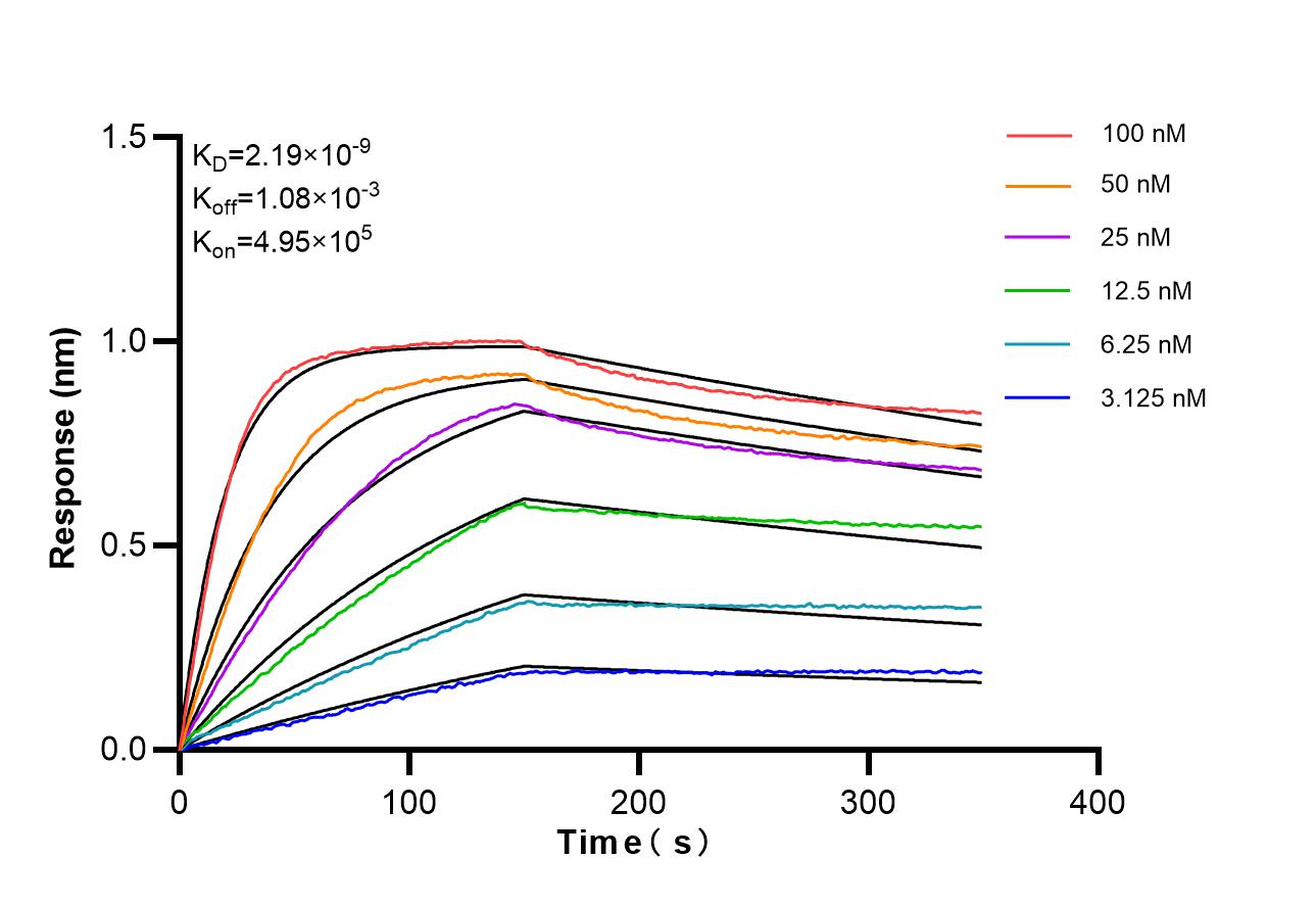 Affinity of 87030-5-RR