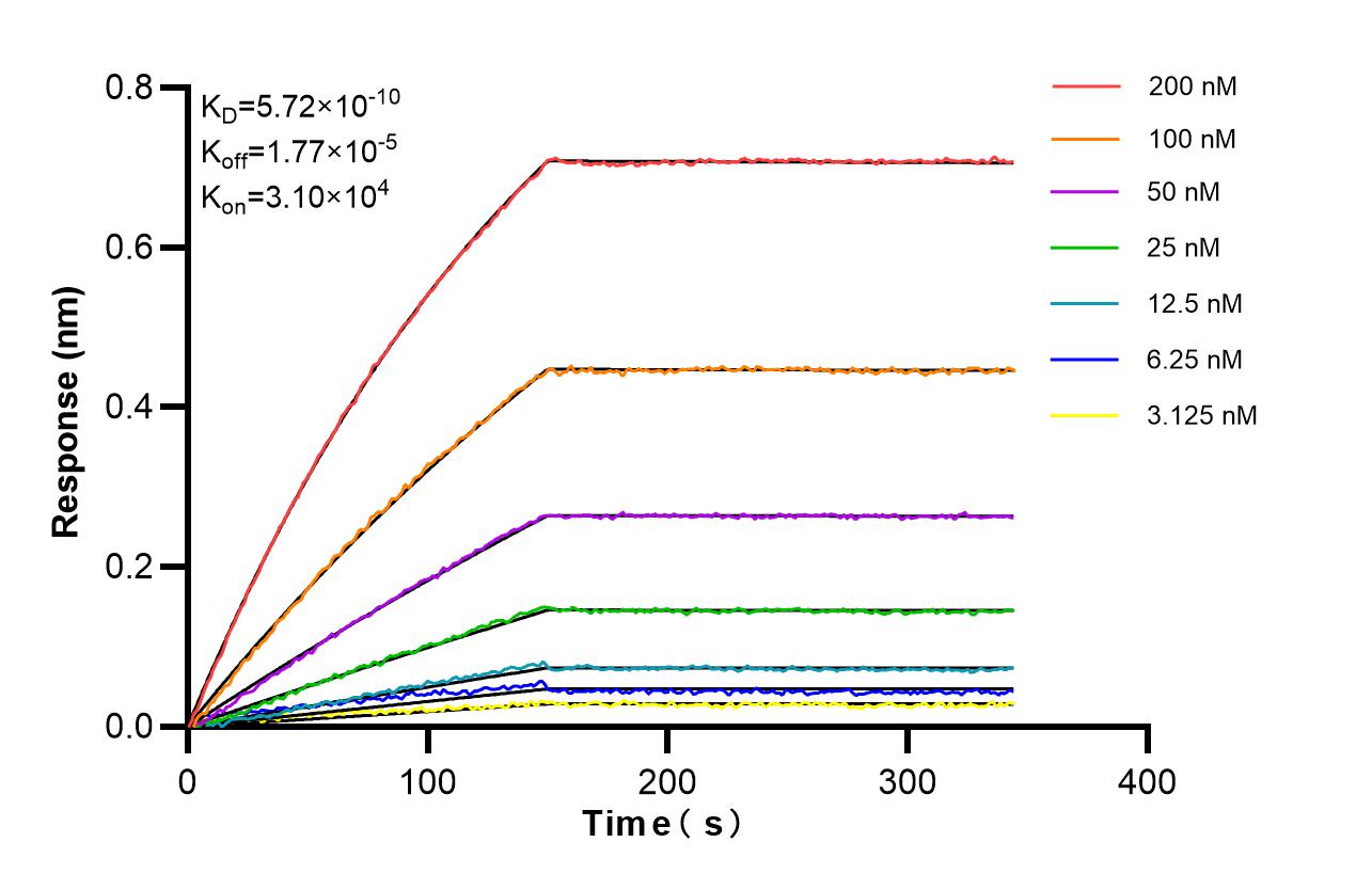 Affinity of 87039-1-RR