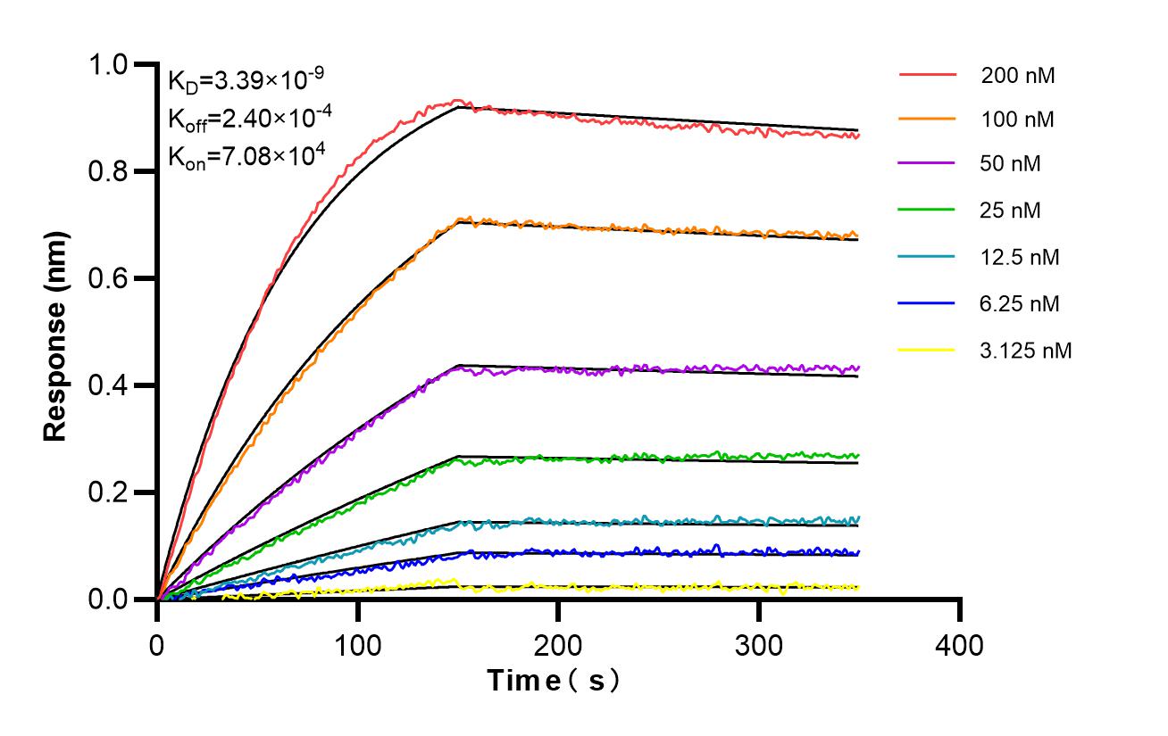 Affinity and Kinetic Characterization of 87040-1-RR Affinity and Kinetic Characterization of 87040-1-RR