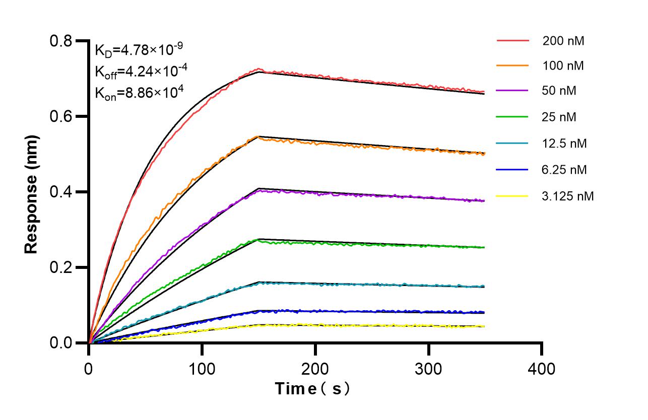 Affinity of 87056-3-RR