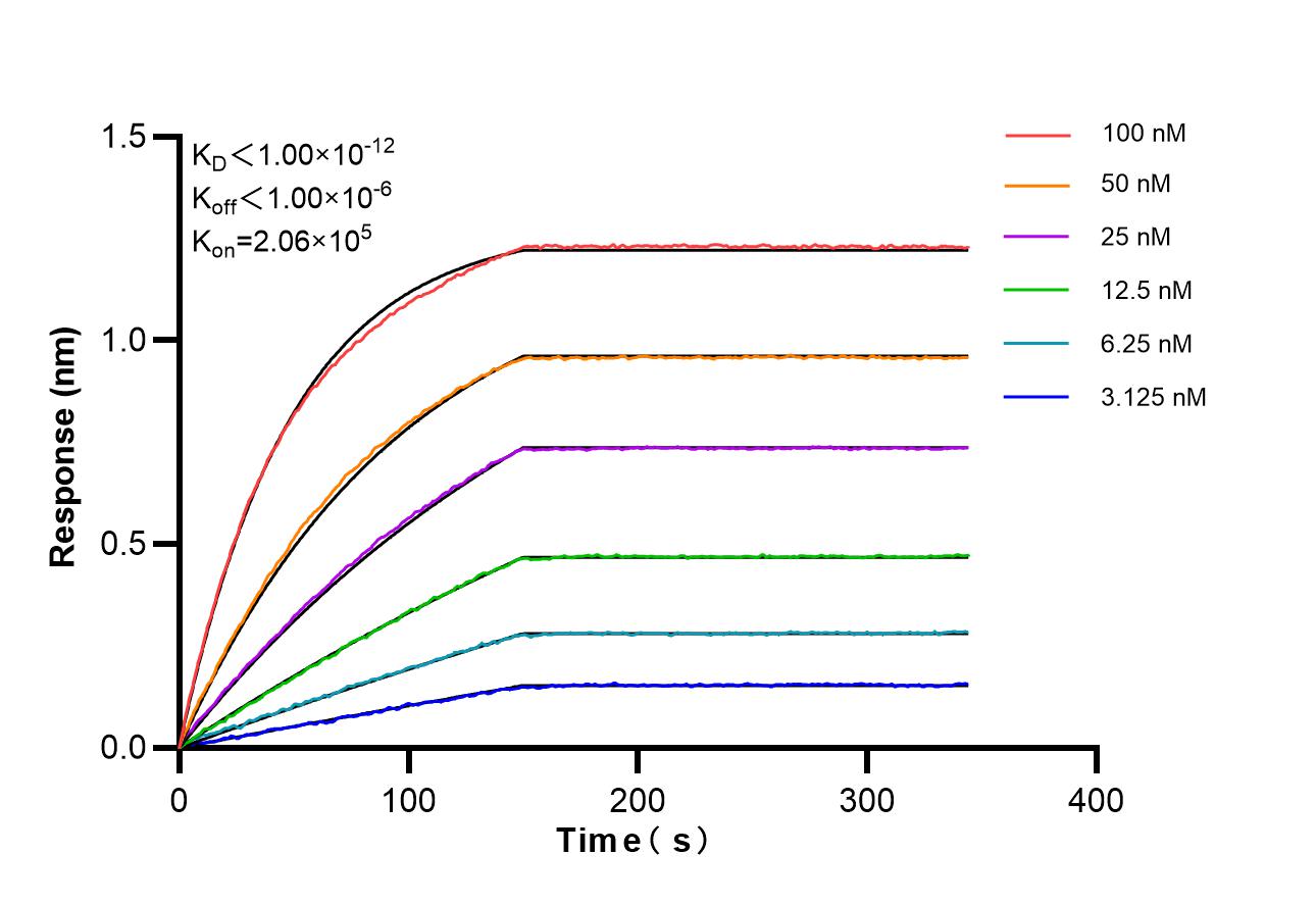 Affinity of 87068-4-RR