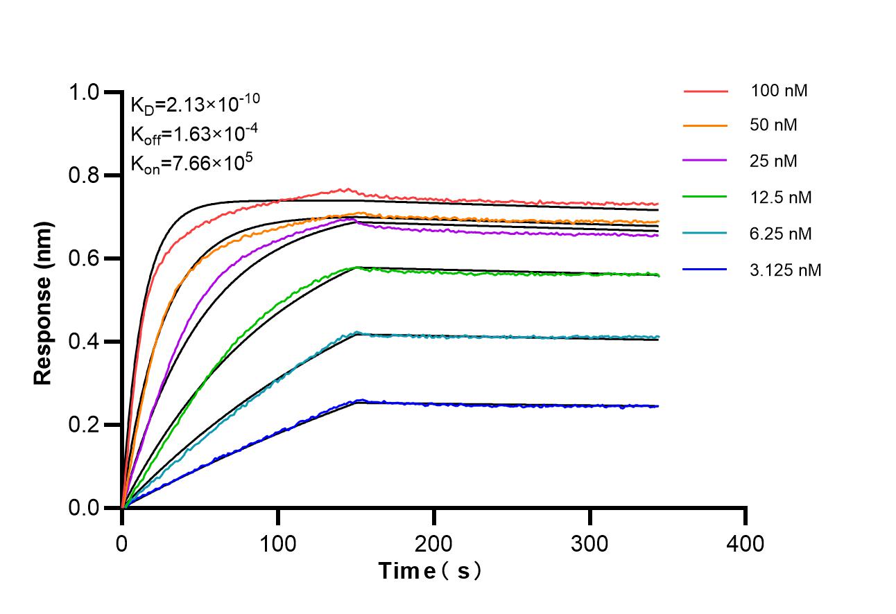 Affinity of 87069-3-RR