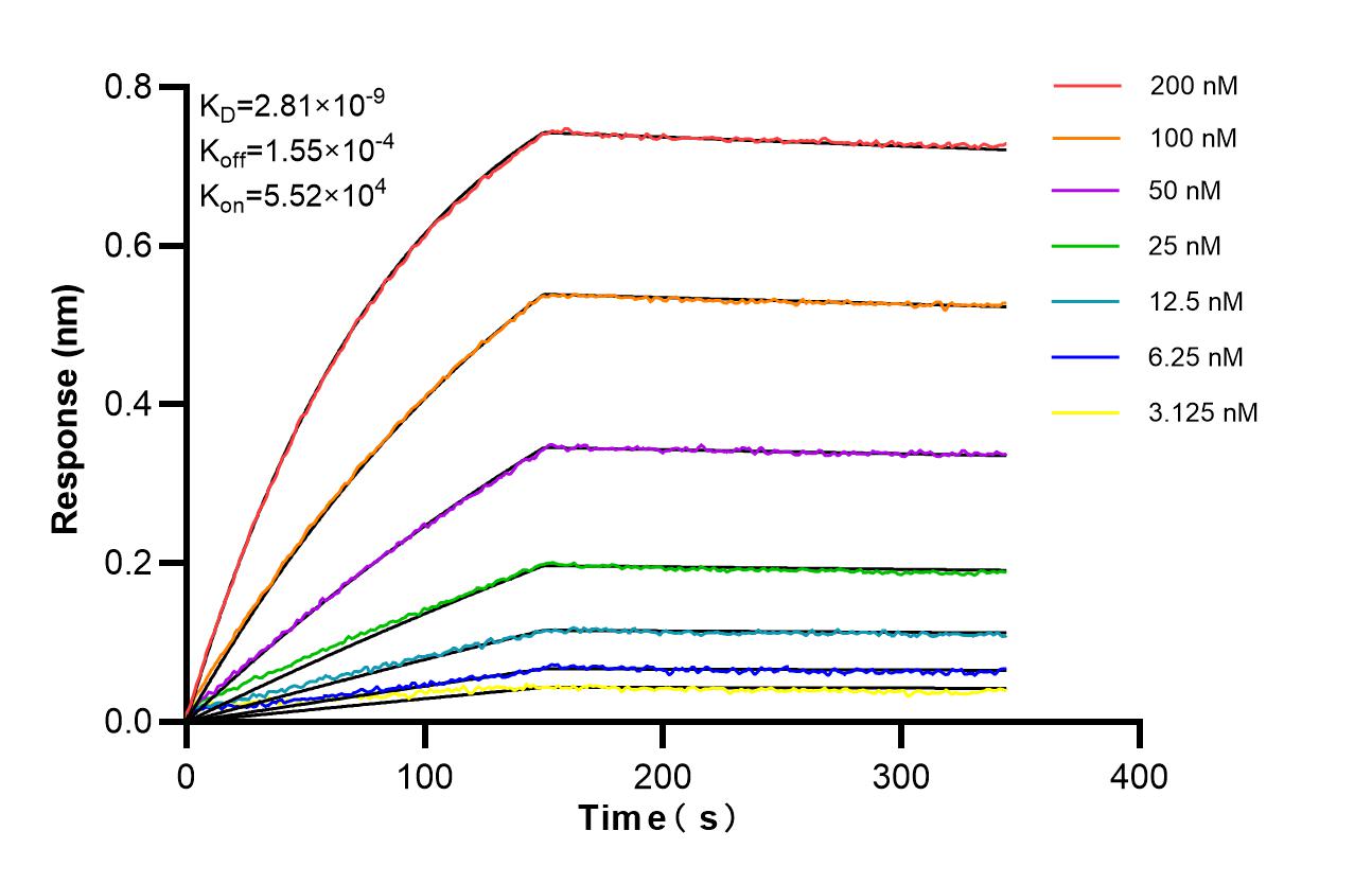 Affinity of 87086-1-RR