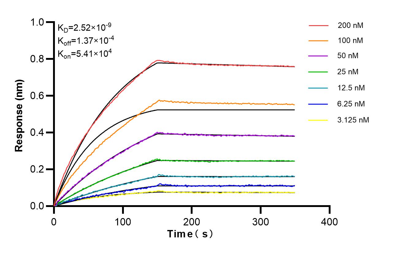 Affinity and Kinetic Characterization of 87094-1-RR