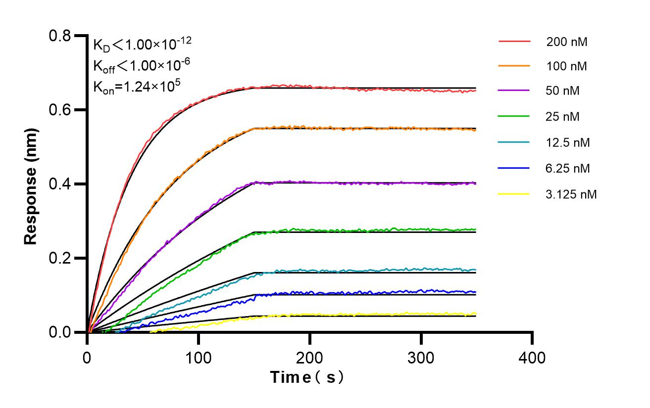 Affinity and Kinetic Characterization of 87100-1-RR