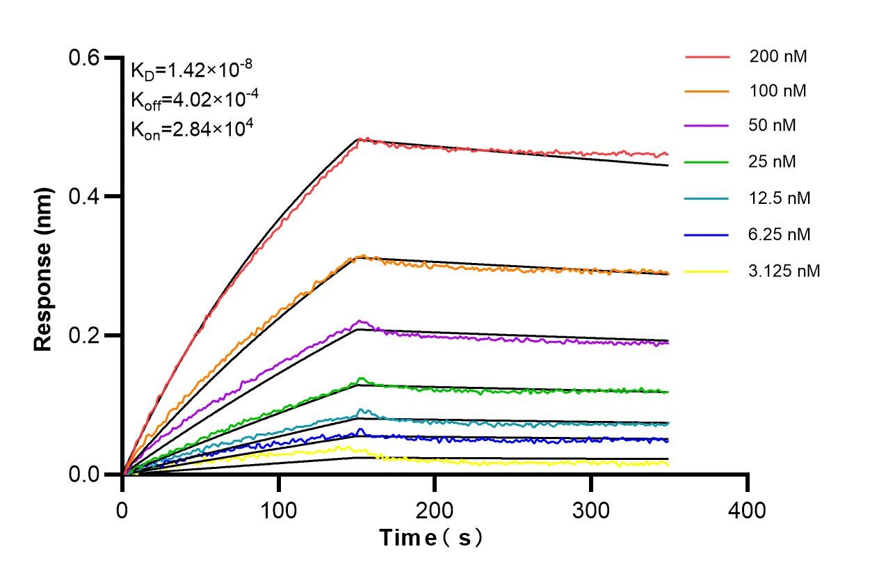 Affinity of 87105-1-RR