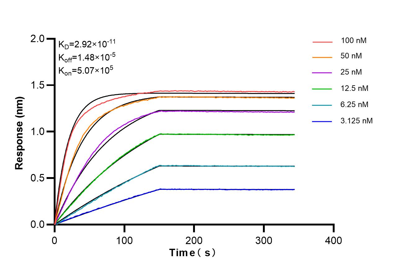 Affinity of 87106-3-RR Affinity of 87106-3-RR