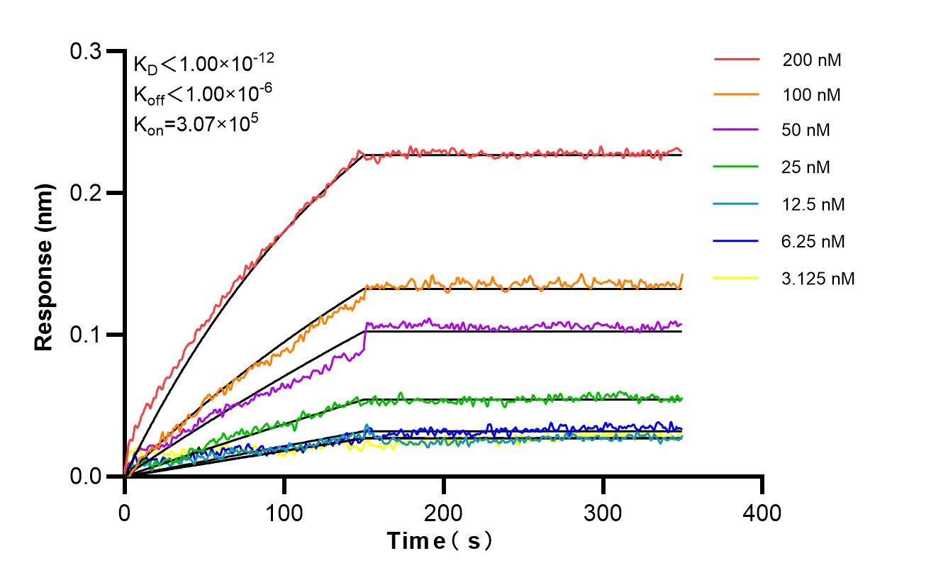 Affinity and Kinetic Characterization of 87113-1-RR