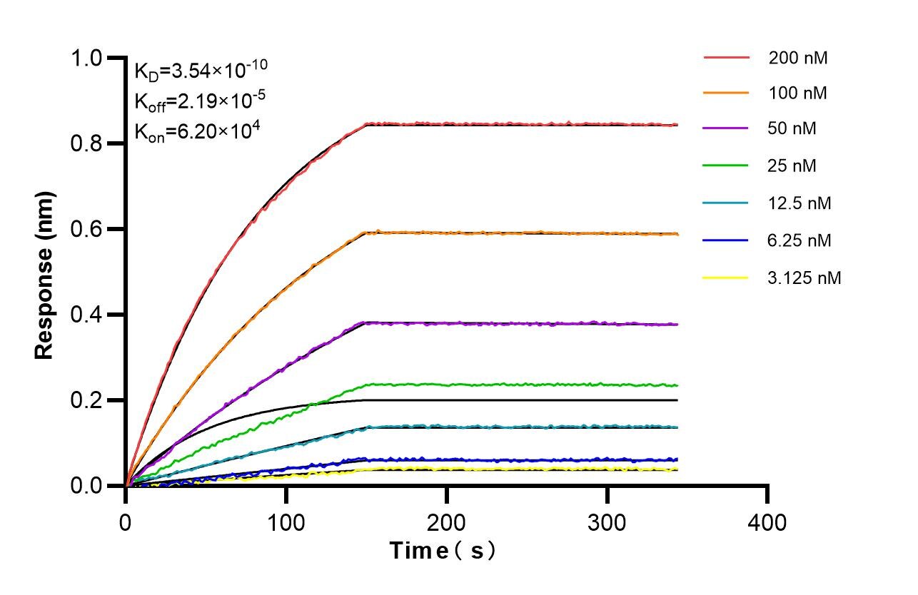 Affinity of 87119-3-RR