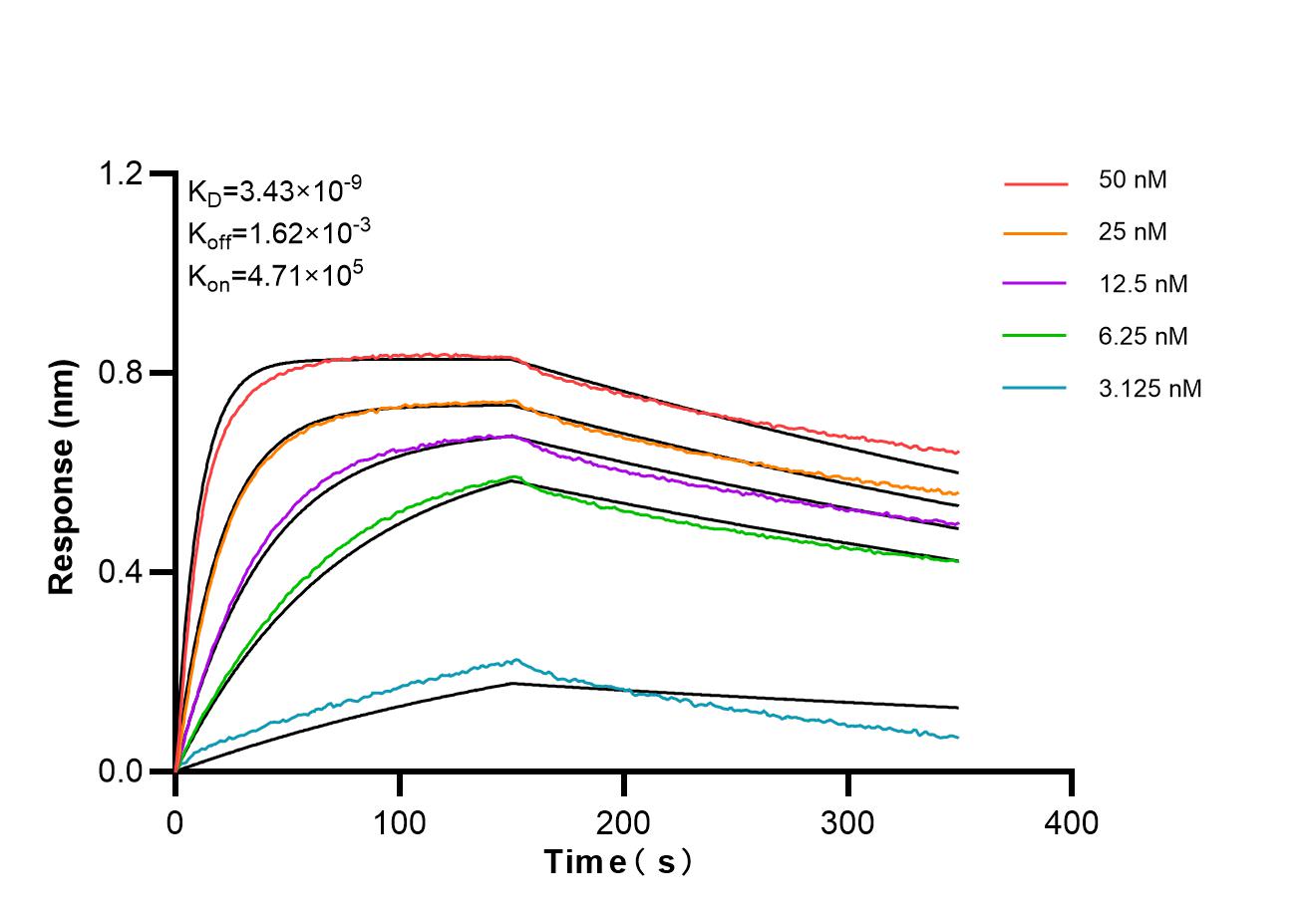 Affinity of 87123-1-RR
