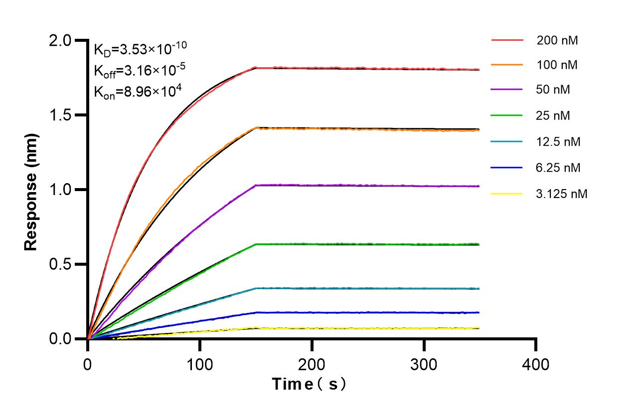 Affinity of 87127-3-RR