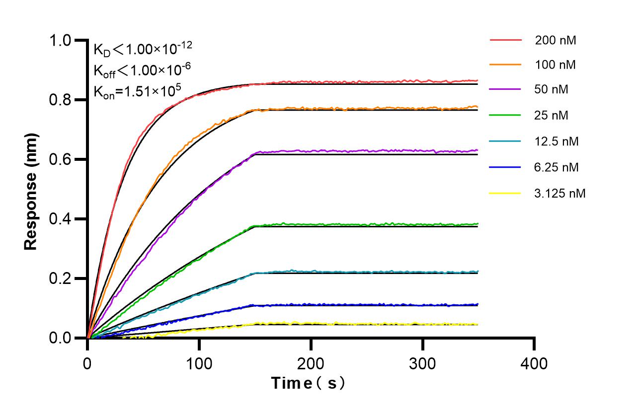 Biolayer interferometry (BLl) kinetic assays of 87128-4-RR against Human PSMC3 were performed. The affinity constant is below 1 pM. Affinity of 87128-4-RR