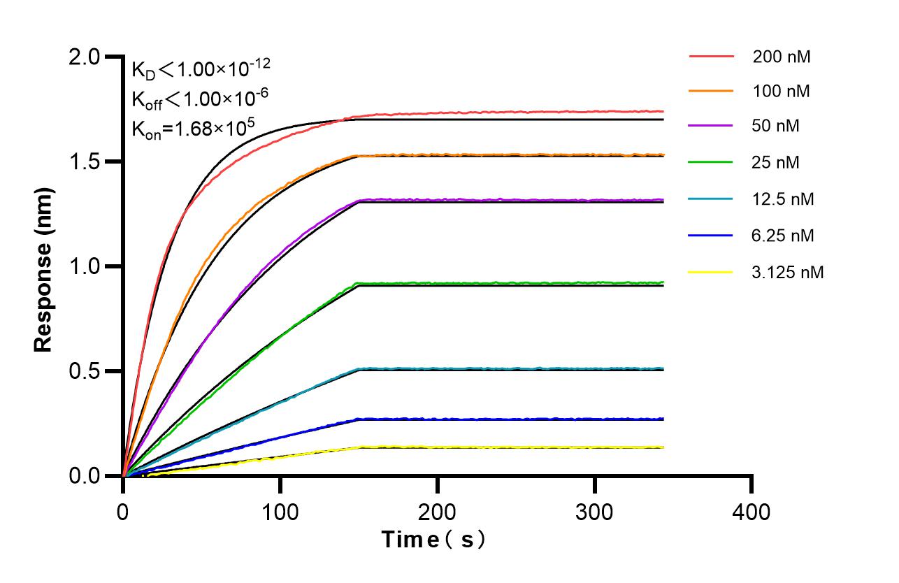 Affinity of 87139-1-RR