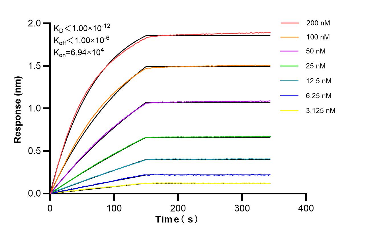 Affinity of 87154-1-RR