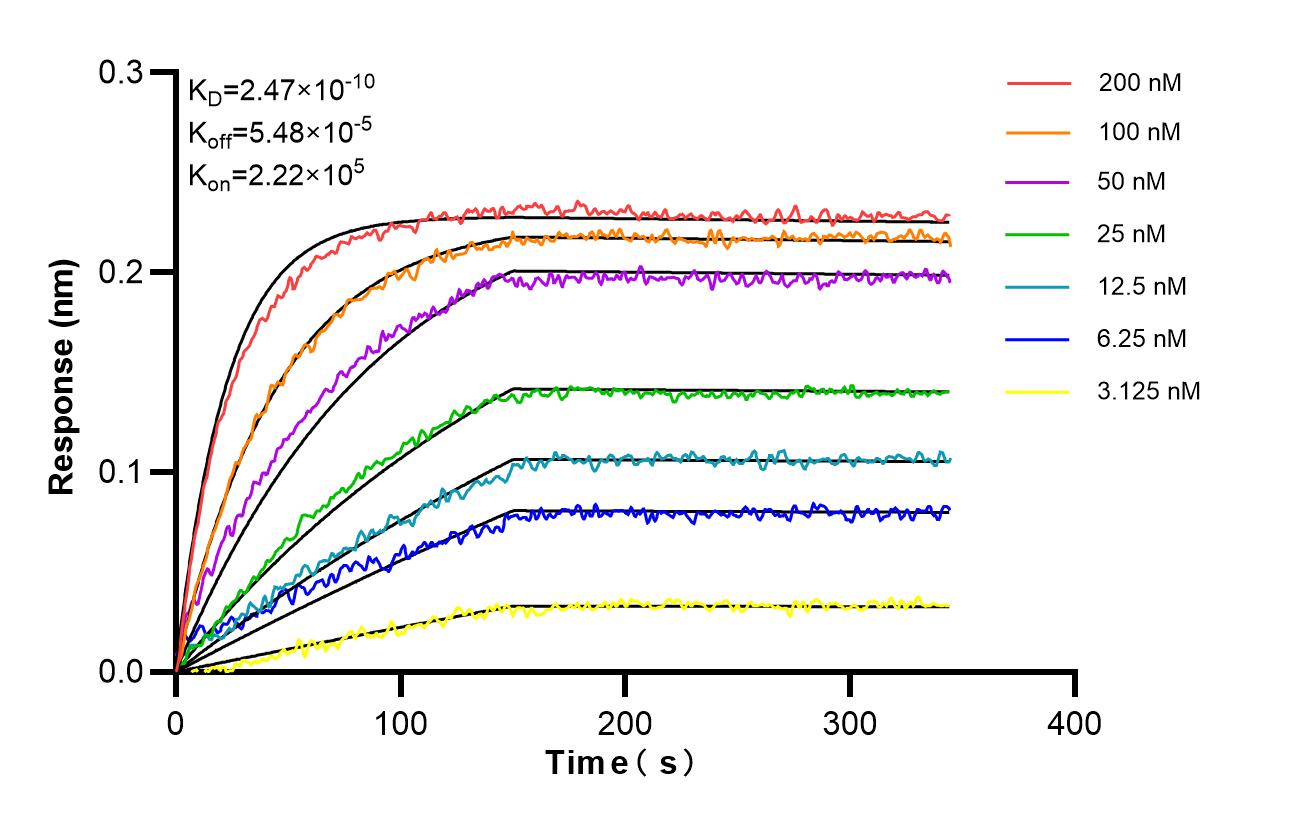 Affinity of 87157-1-RR