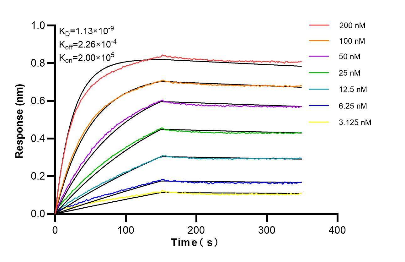 Affinity of 87170-3-RR Affinity of 87170-3-RR