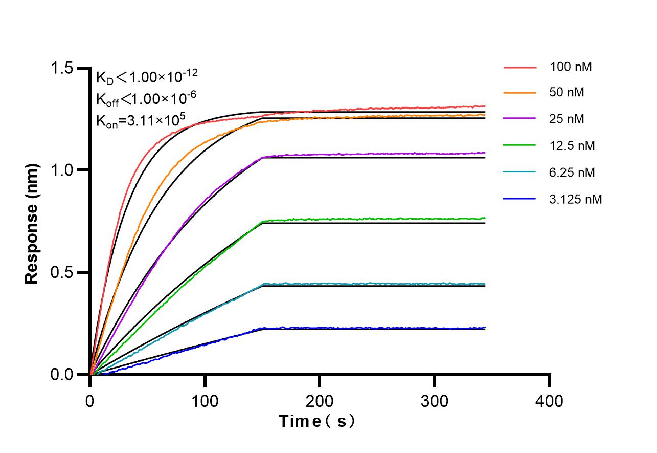 Affinity of 87175-3-RR
