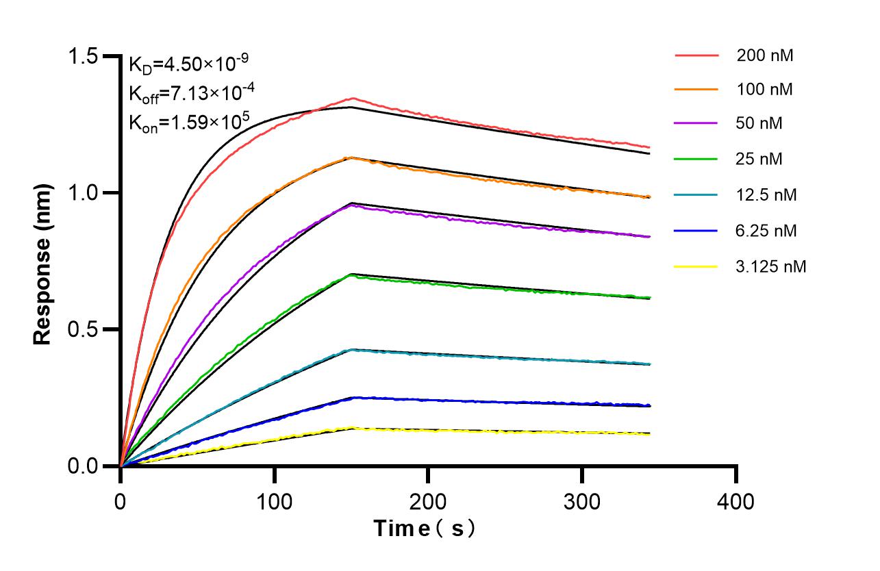 Affinity of 87176-3-RR
