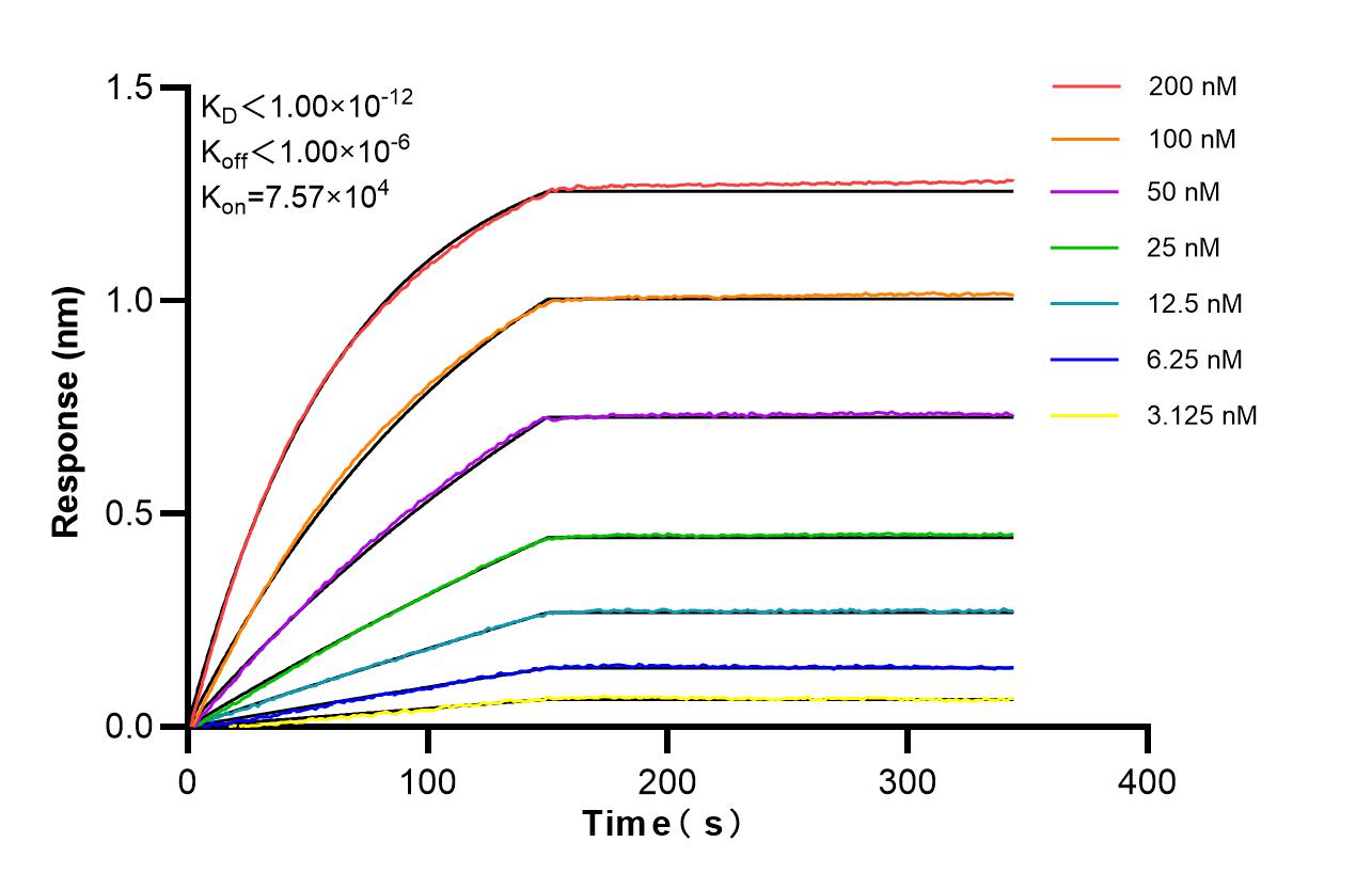 Affinity of 87178-4-RR Affinity of 87178-4-RR