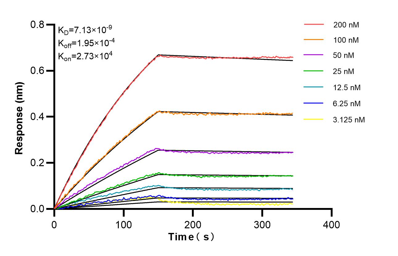 Affinity of 87183-1-RR Affinity of 87183-1-RR