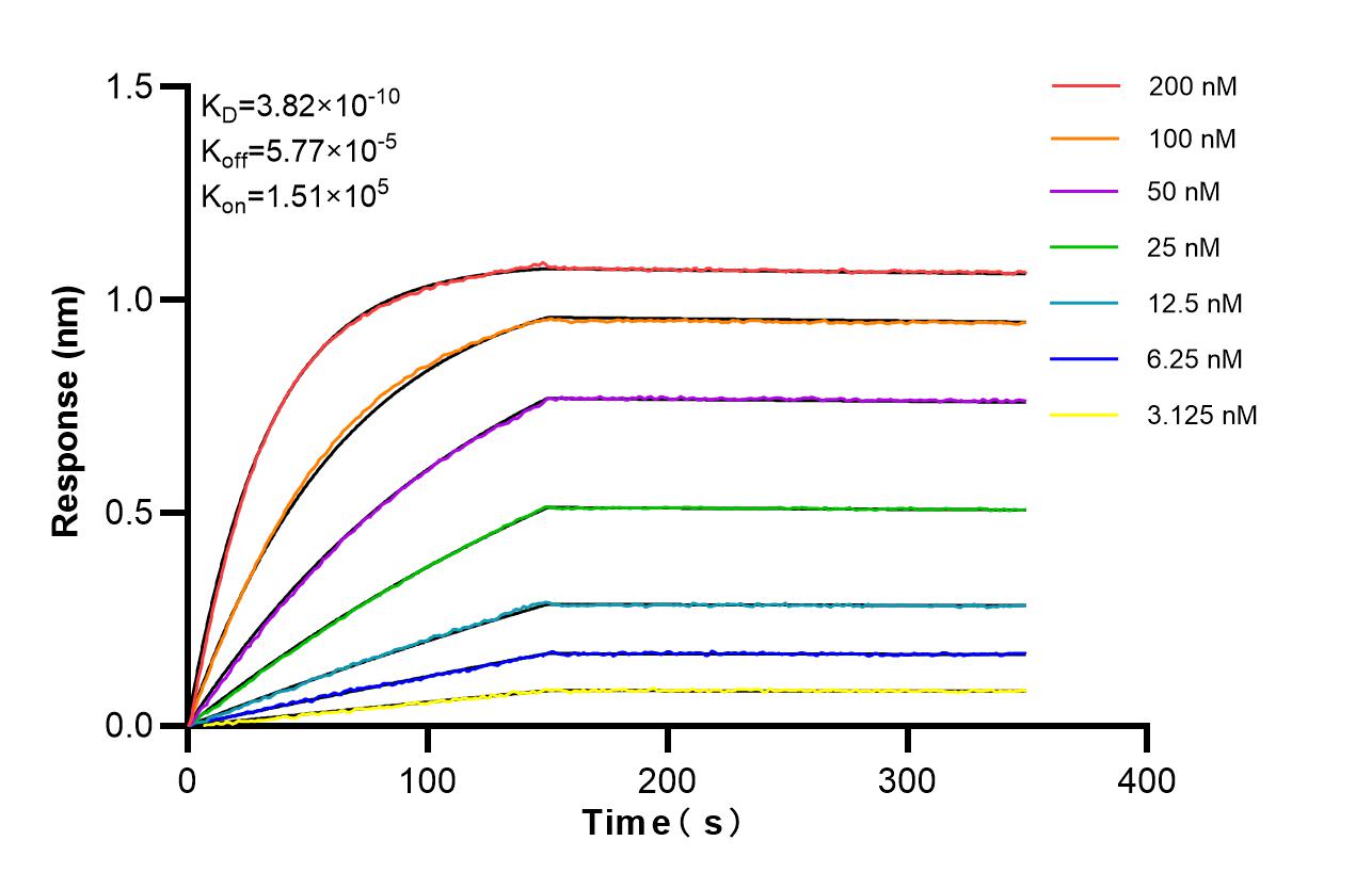 Affinity of 87187-3-RR