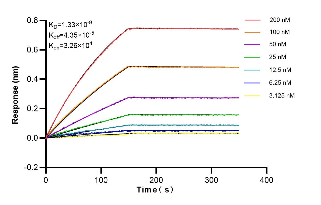 Affinity of 87227-1-RR