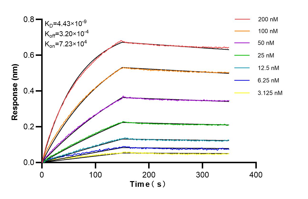 Affinity of 87230-1-RR