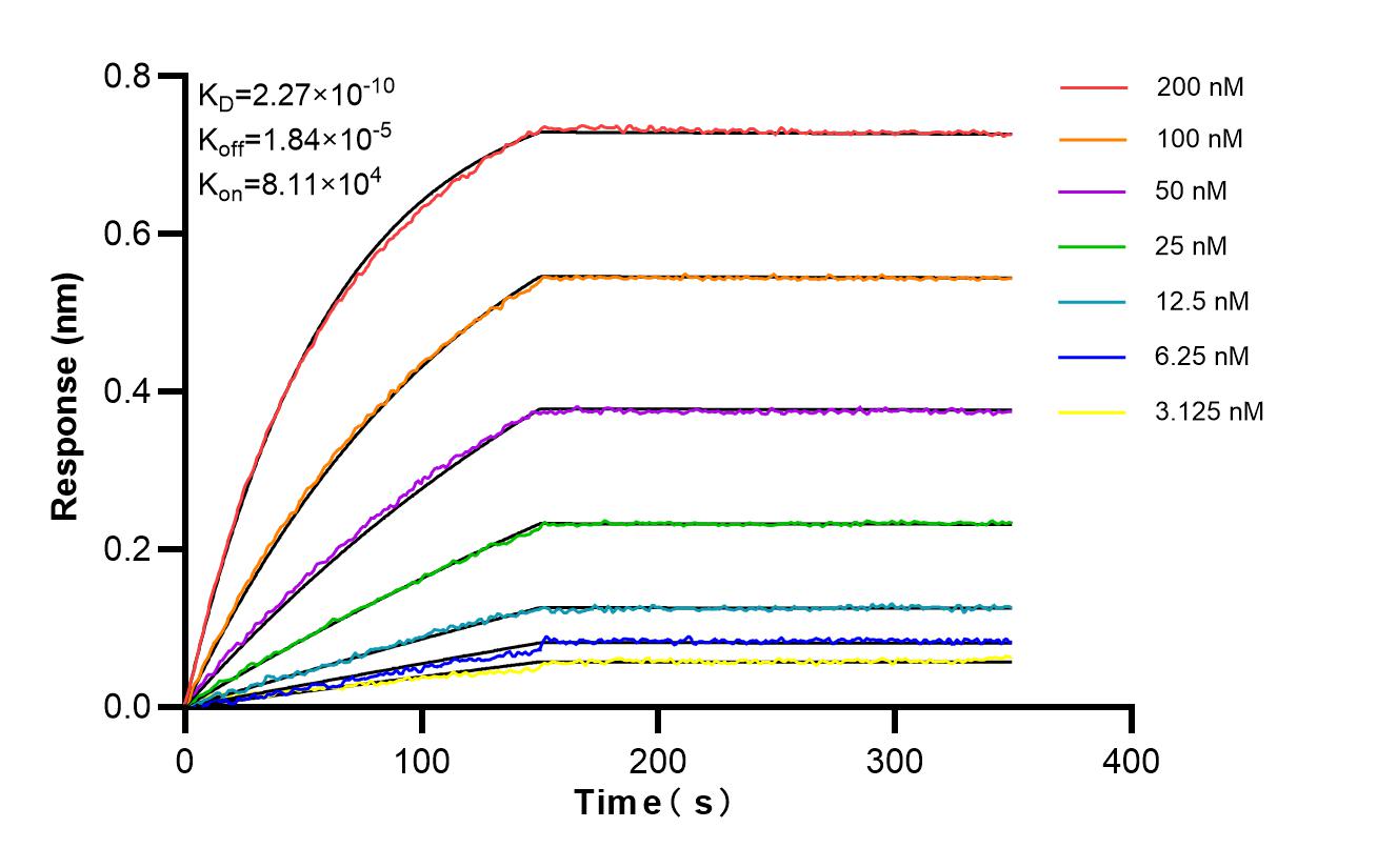 Biolayer interferometry (BLl) kinetic assays of 87233-1-RR against Human PFKFB3 were performed. The affinity constant is 0.227 nM. Affinity of 87233-1-RR