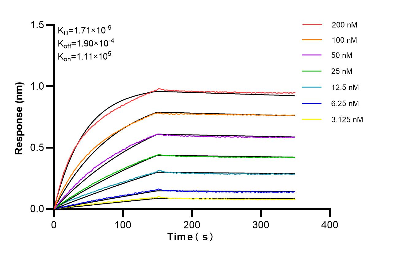Biolayer interferometry (BLl) kinetic assays of 87234-1-RR against Human PDIA6 were performed. The affinity constant is 1.71 nM. Affinity of 87234-1-RR