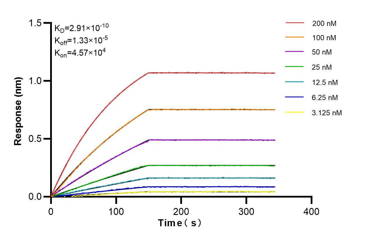 Affinity of 87235-1-RR Affinity of 87235-1-RR