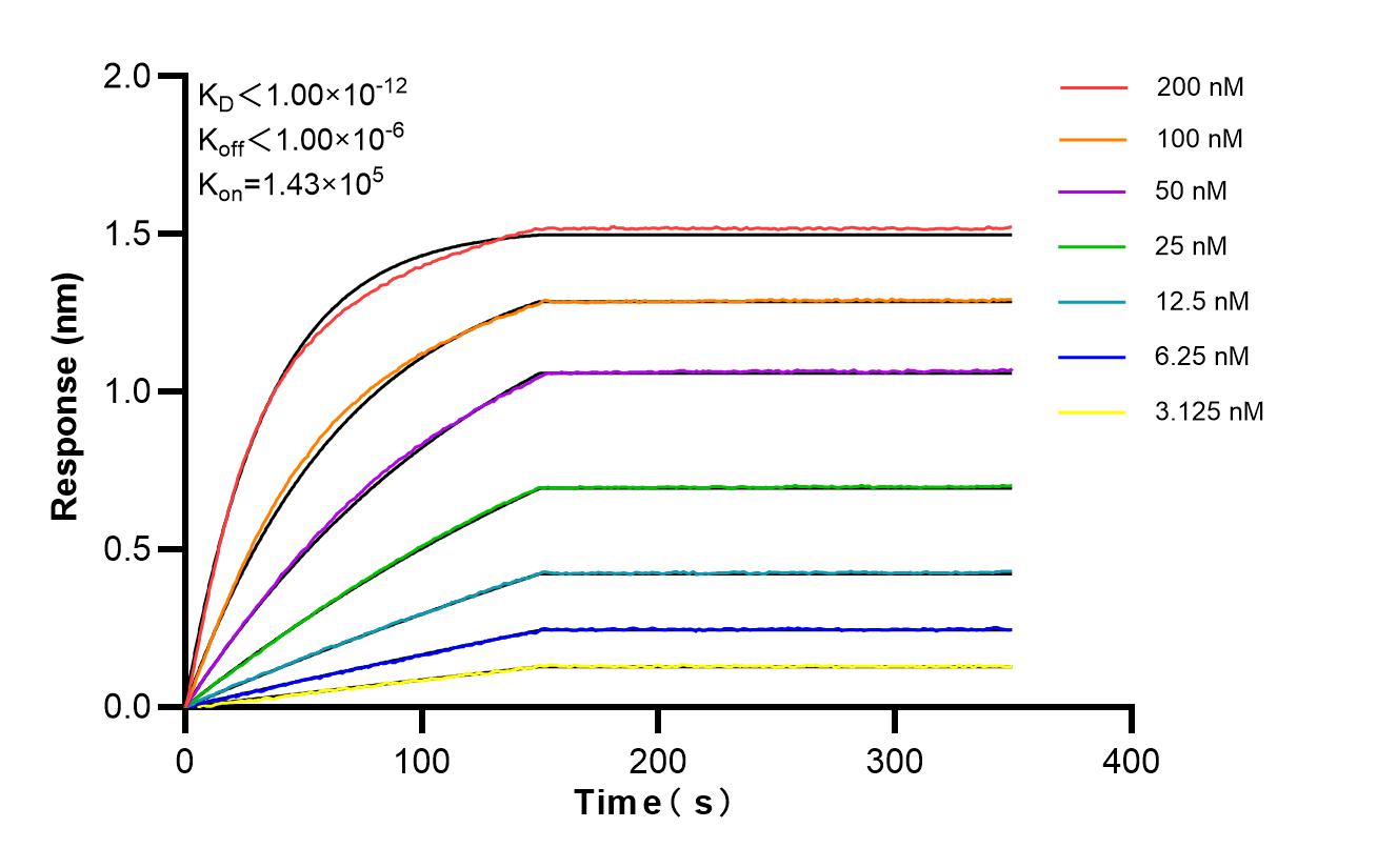Affinity of 87246-1-RR