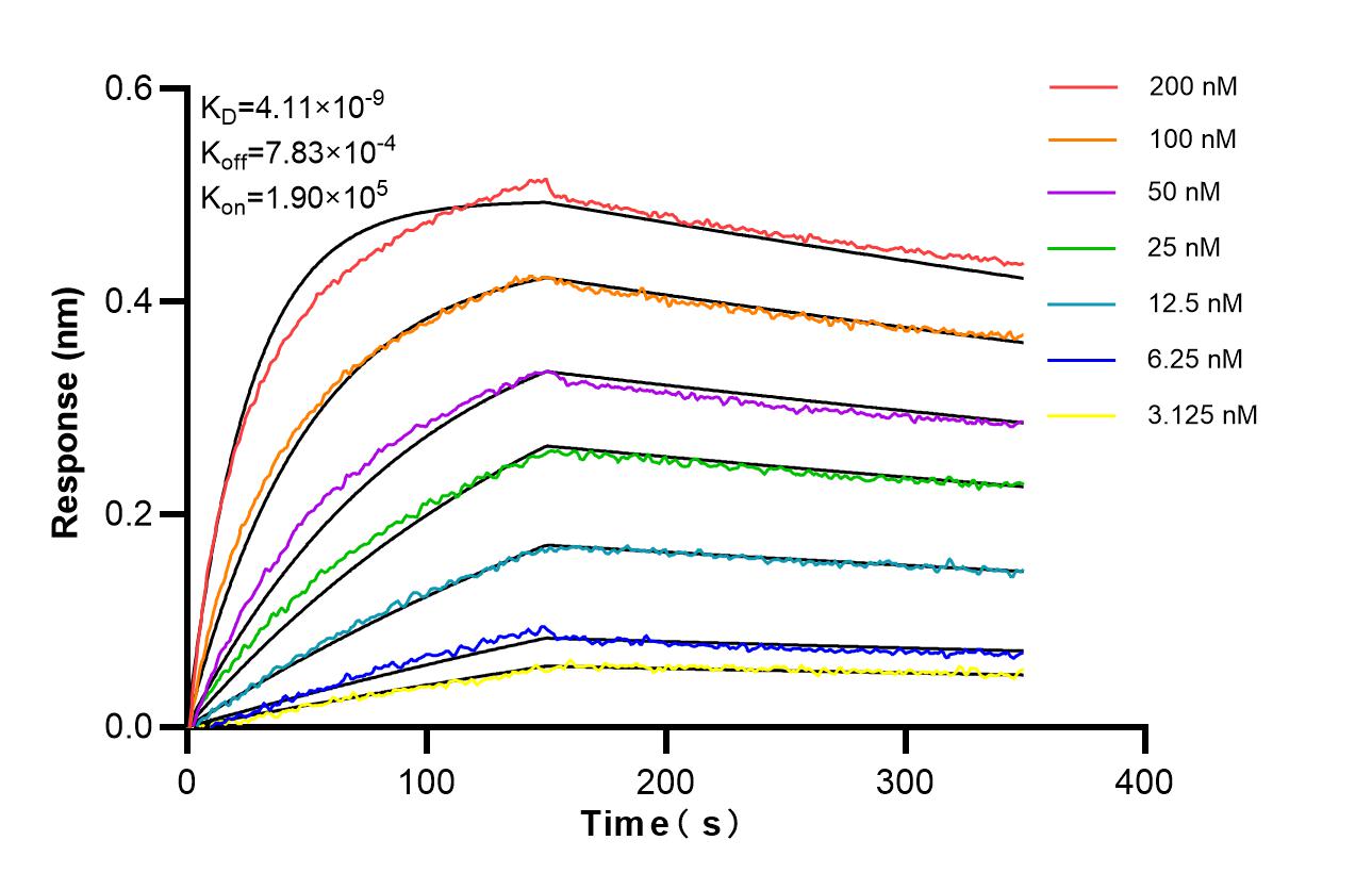 Affinity of 87250-3-RR