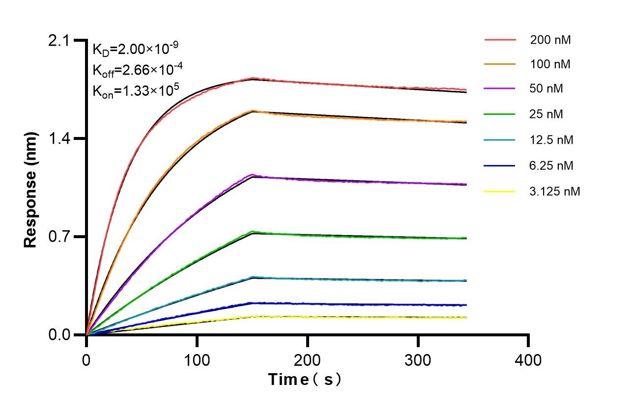 Affinity of 87269-1-RR Affinity of 87269-1-RR