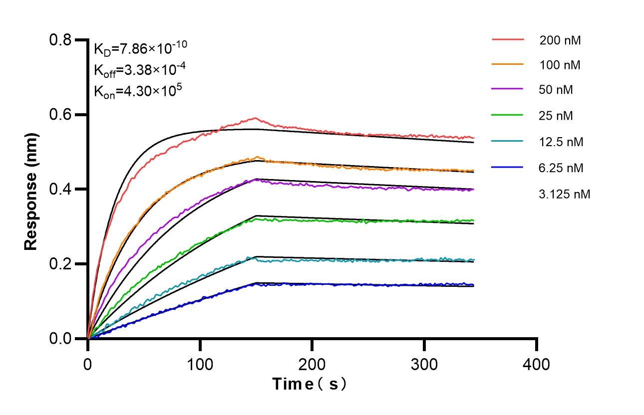 Biolayer interferometry (BLl) kinetic assays of 87280-1-RR against Human COL8A1 were performed. The affinity constant is 0.786 nM. Affinity of 87280-1-RR