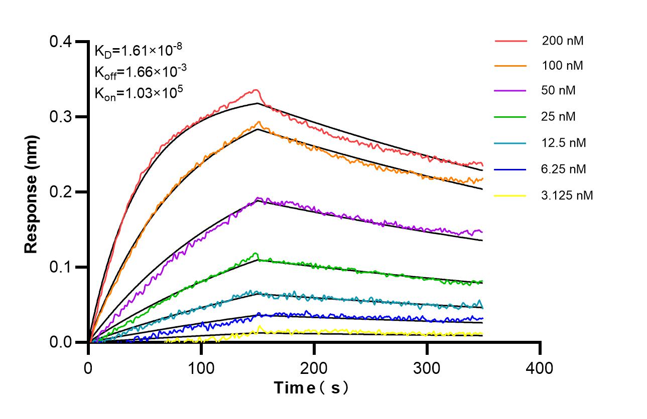 Affinity of 87282-1-RR