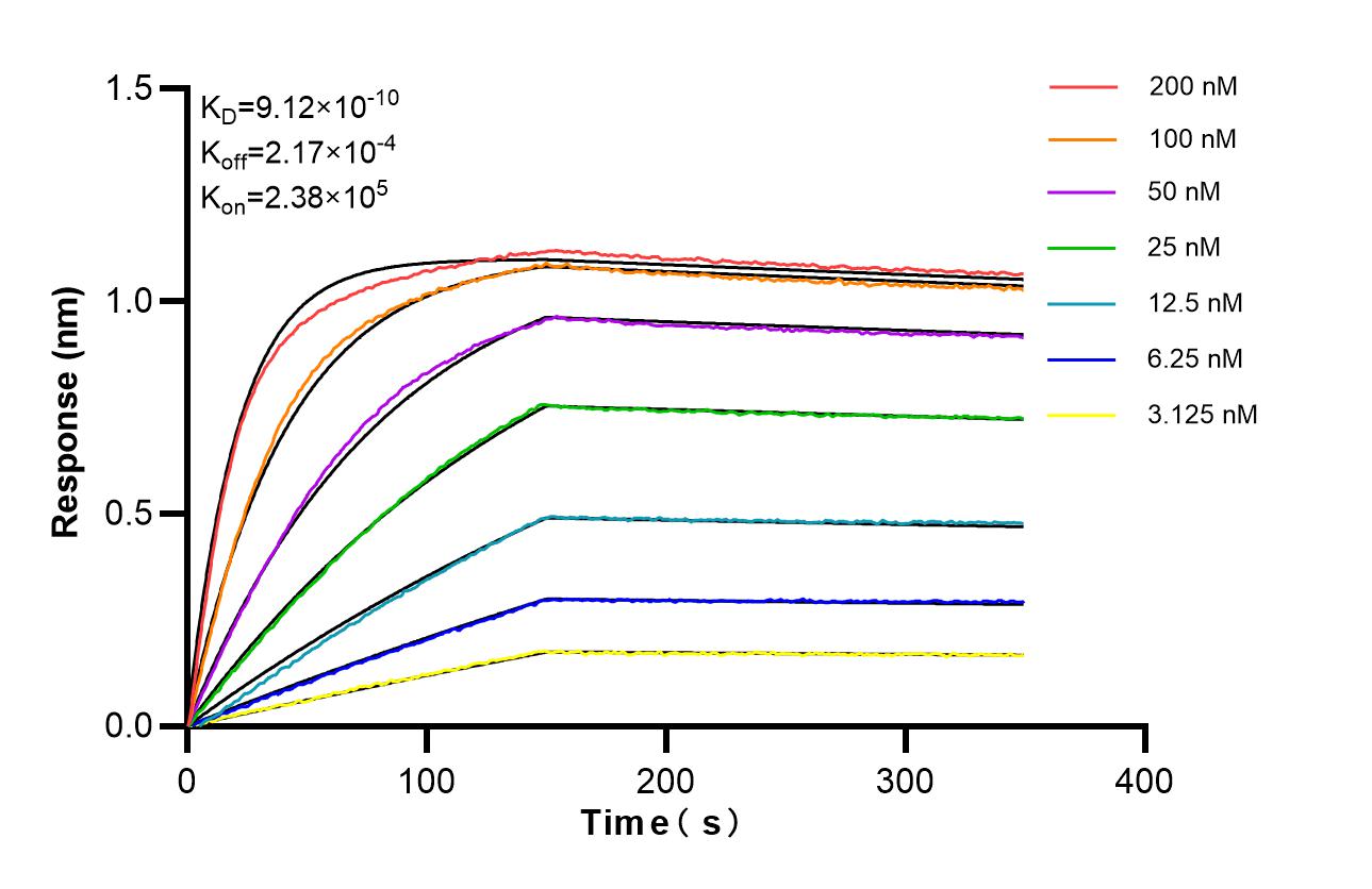 Affinity of 87298-1-RR Affinity of 87298-1-RR
