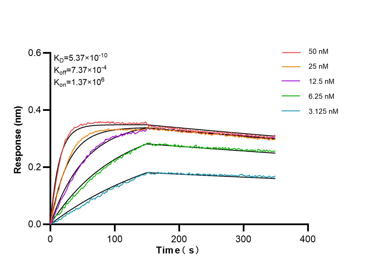 Biolayer interferometry (BLl) kinetic assays of 87300-3-RR against Human PALMD were performed. The affinity constant is 0.537 nM. Affinity of 87300-3-RR